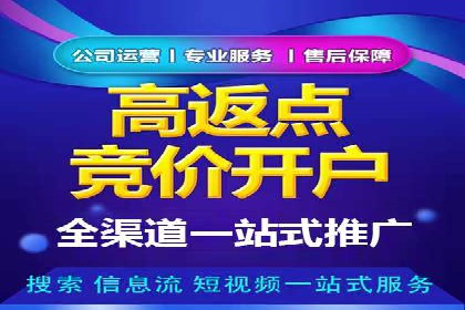 百度SEM推广策略：成功案例解析